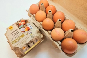 ซีพีเอฟ เพิ่มการผลิตไข่ไก่ Cage Free ตอบโจทย์ผู้บริโภคใส่ใจสุขภาพ และเป็นมิตรต่อสิ่งแวดล้อม