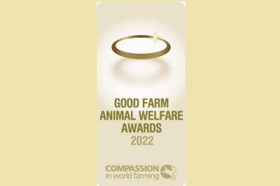 CIWF  เชิญธุรกิจอาหาร สมัครเข้ารับรางวัลสวัสดิภาพสัตว์ในฟาร์มดีเด่น 2565