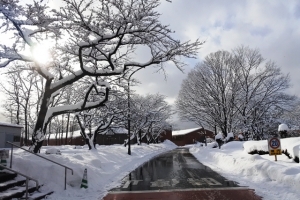 .:: Incentive Tour ณ เมืองเซนได ::.