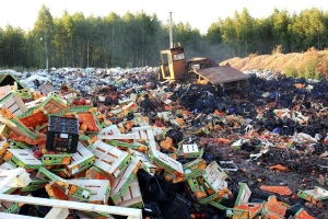 ลดทรัพยากร การผลิตและบริโภค