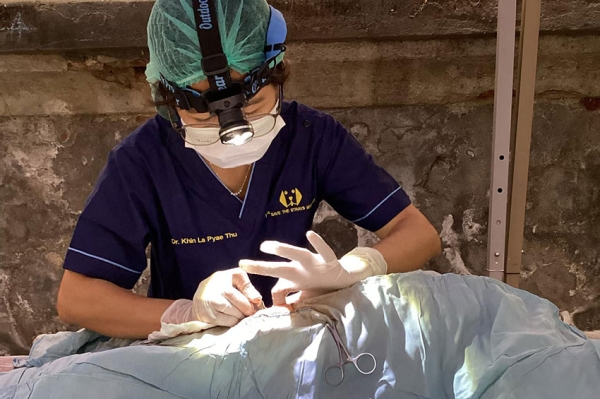 องค์กรพิทักษ์สัตว์แห่งโลกจับมือ Let's Save The Strays, International เร่งช่วยเหลือสัตว์ในมัณฑะเลย์หลังแผ่นดินไหว