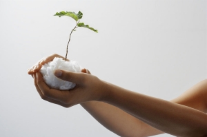 ‘Care Begins Within’ เพราะทุกส่วนผสมมีความสำคัญ VEOCEL™ จาก Lenzing โดดเด่นด้านการขับเคลื่อนนวัตกรรมที่ยั่งยืน ในงานระดับโลก IDEA25 และ CIDPEX