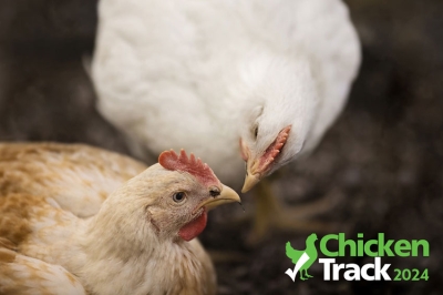 ChickenTrack 2024 เผยแนวทางอุตสาหกรรมไก่ไทยก้าวล้ำการเปลี่ยนแปลงในตลาดยุโรป