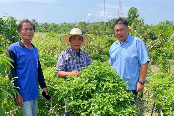 ซีพีเอฟช่วยเกษตรกรก้าวผ่านวิกฤตภัยแล้ง เดินหน้า “ปันน้ำปุ๋ยสู่เกษตรกร” ปีที่ 20