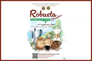 งาน “ROBUSTA Chumphon | Camping in the Garden