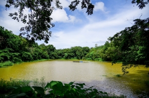 ถอดรหัสรอดภัยแล้ง บ้านมาบจันทร์ จ.ระยอง