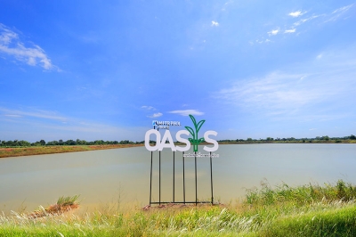 จากความแห้งแล้งสู่ความหวังใหม่ “มิตรผล โอเอซิส” พลิกวิกฤตน้ำด้วย “โอเอซิสเพื่อการเกษตร” สร้างความยั่งยืนของเกษตรกรไทย